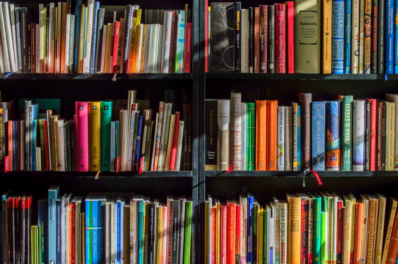 boutique-BARJOLS-min_books_bookstore_book_reading_shop_writer_sale_books_read-822866